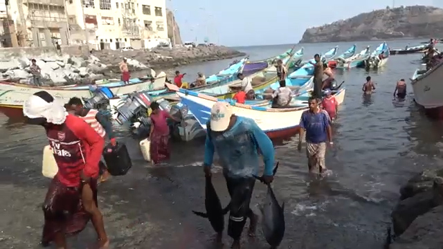 سوق صيرة للأسماك - عدن