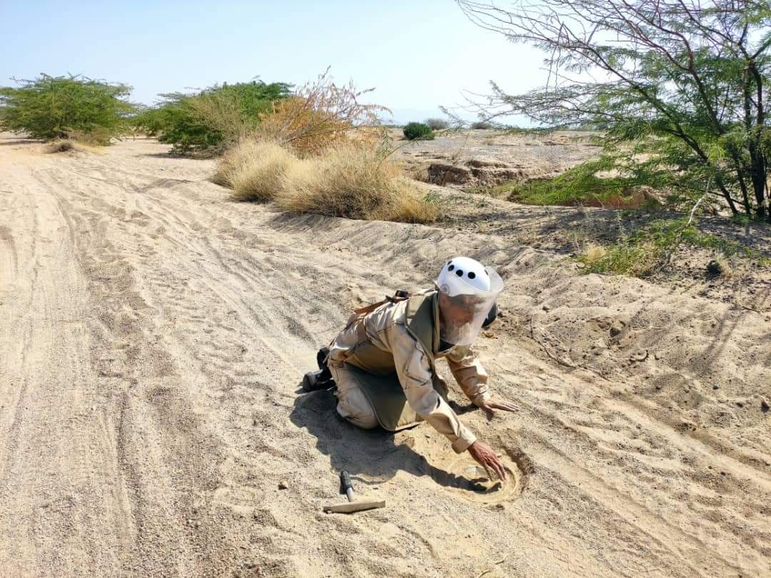 أحد الخبرء ينزع لغم وضعه الحوثيين بإحدى الطرق باليمن